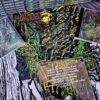 (NPCD-039) Morgued - Terrorformed (Com Poster) - Image 3