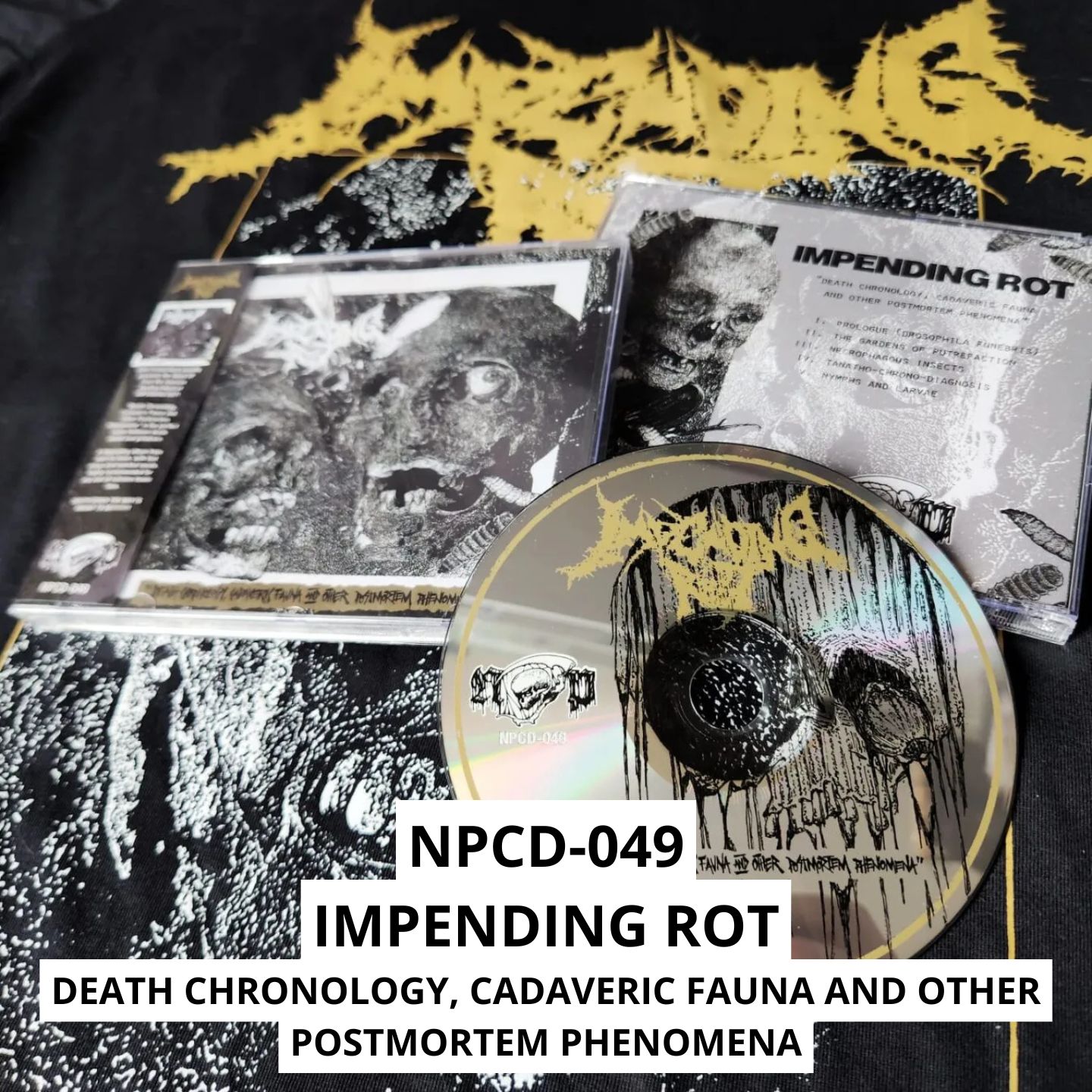 COMBO CAMISETA TRIBUTO DEATH (PRÉ-VENDA) - Imagem 39