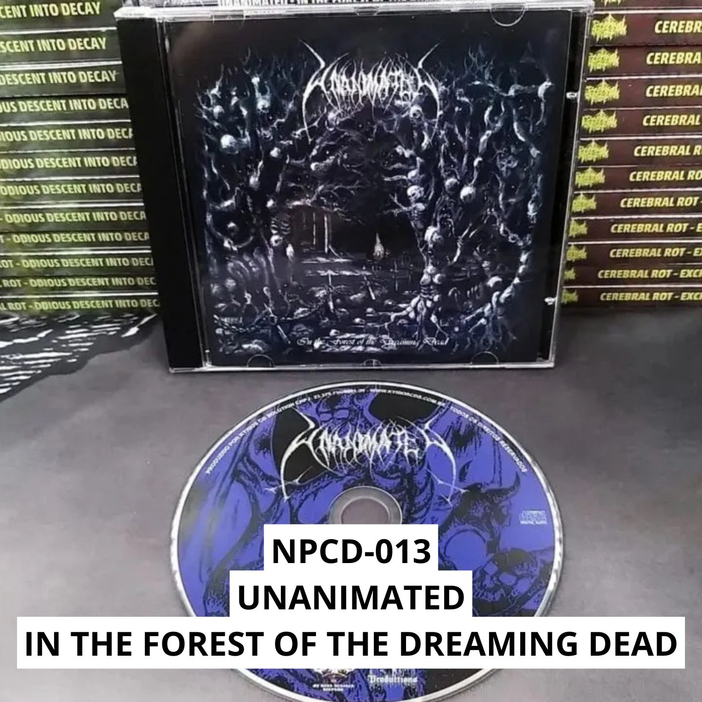 COMBO CAMISETA TRIBUTO DEATH (PRÉ-VENDA) - Imagem 10