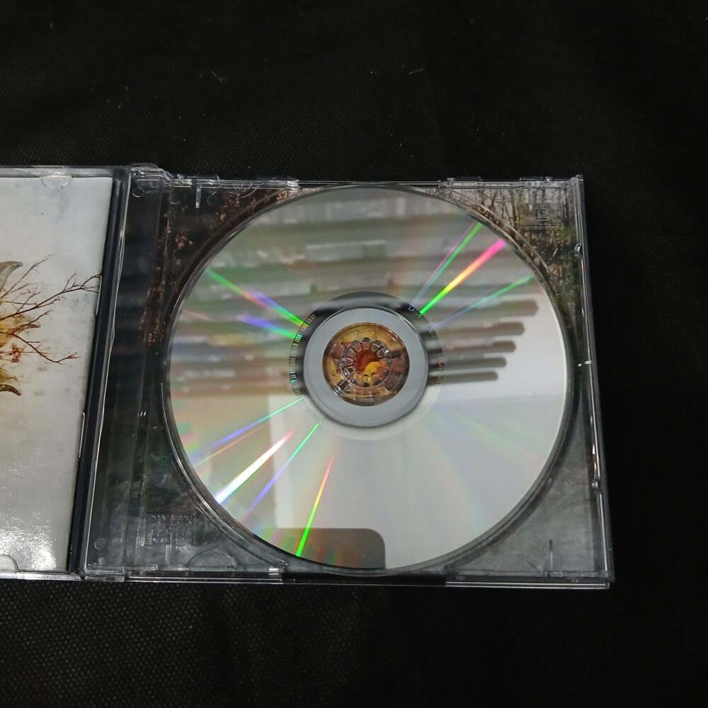 Amorphis – Skyforger (CD USADO) - Imagem 5