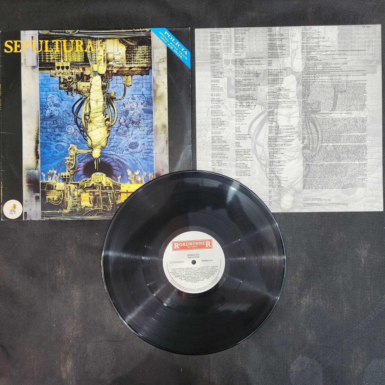 Sepultura – Chaos A.D. (LP USADO) - Imagem 3