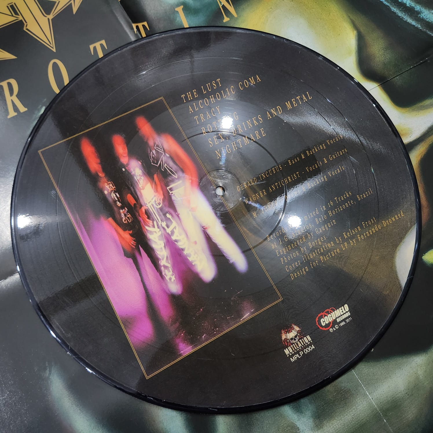 Sarcofago - Rotting (LP PICTURE USADO) - Imagem 5