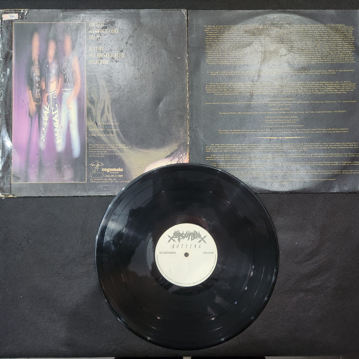 Sarcofago - Rotting (LP USADO) - Imagem 3